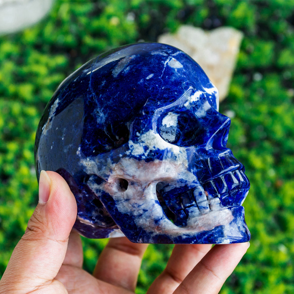 Reikistal Sodalite Hollow Out Skull