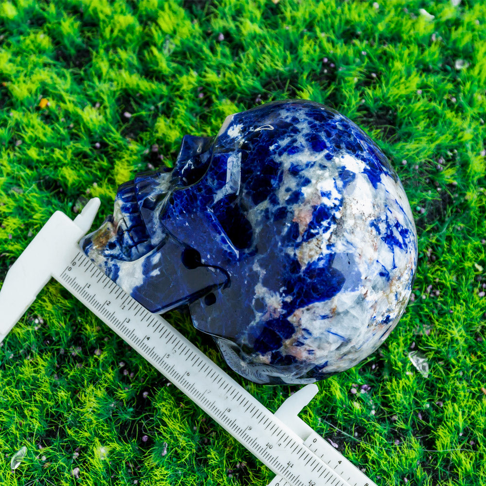 Reikistal Sodalite Hollow Out Skull