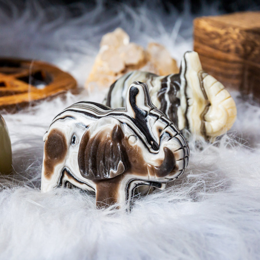 Reikistal Zebra Calcite Elephant