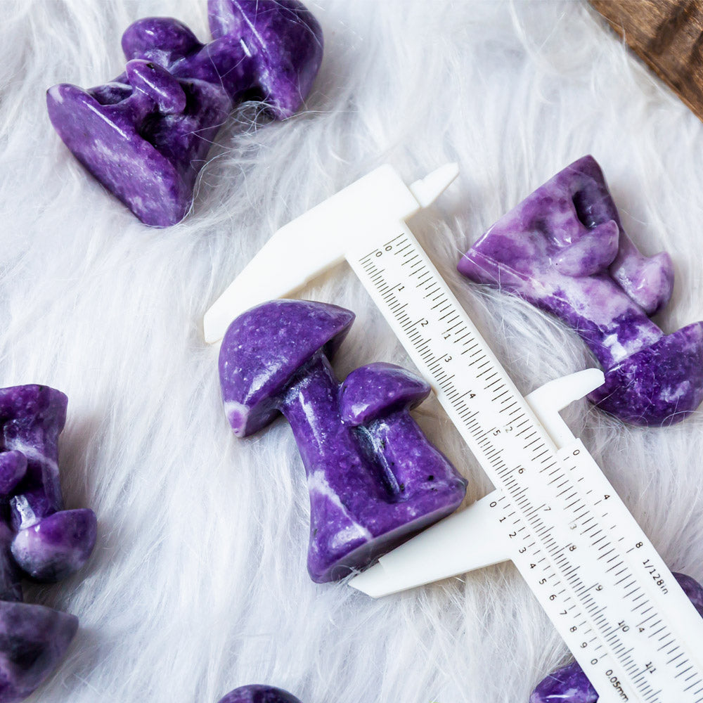 Reikistal Lepidolite Mushroom