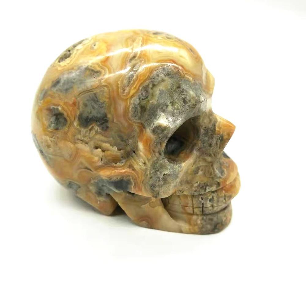 Reikistal Crazy Lace Agate Skull