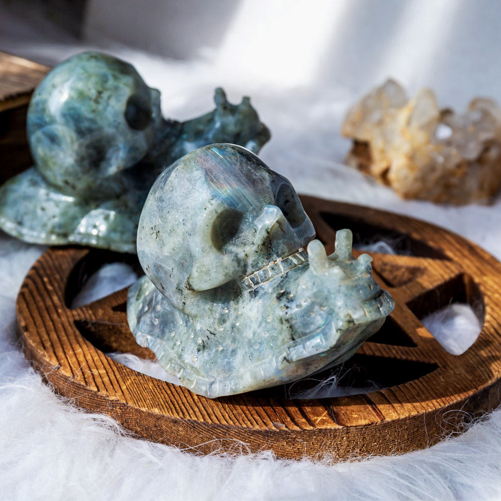 Reikistal Labradorite Snail Skull