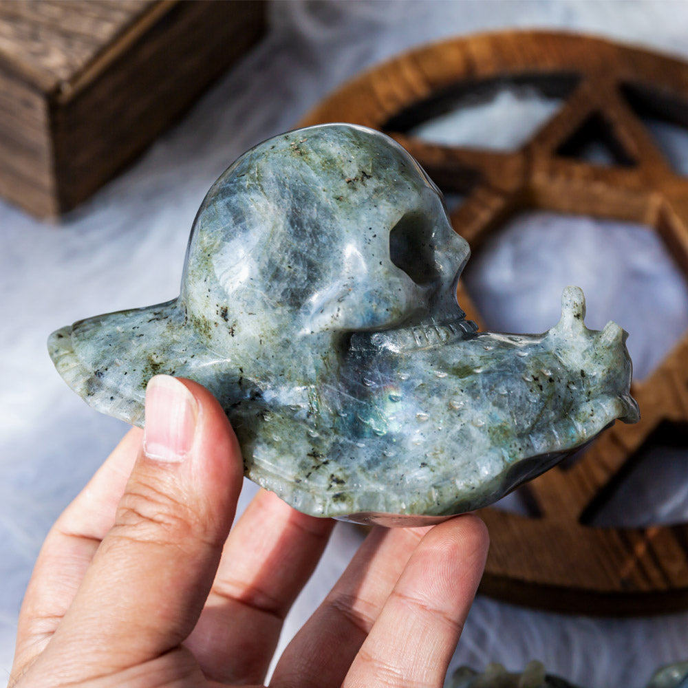 Reikistal Labradorite Snail Skull