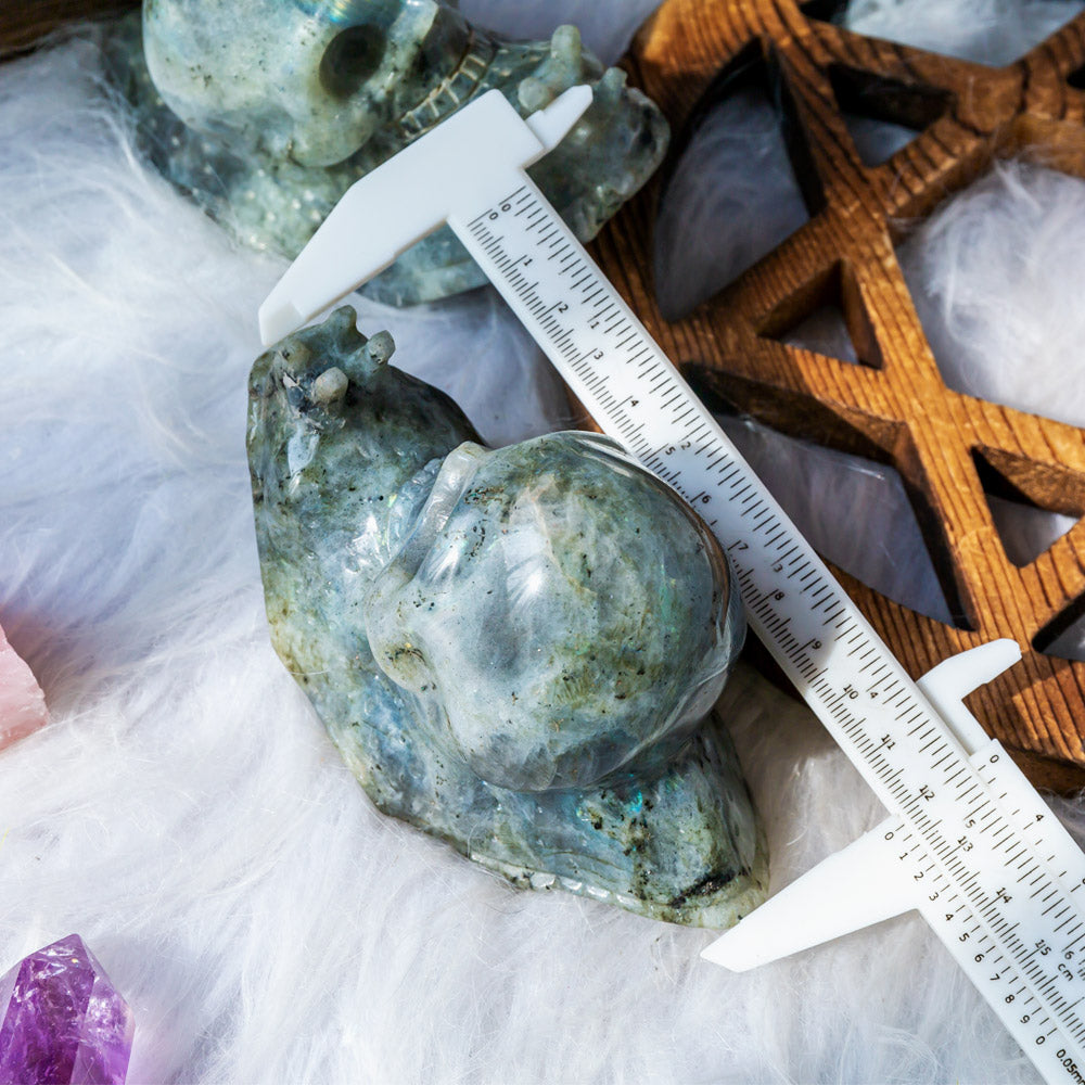 Reikistal Labradorite Snail Skull