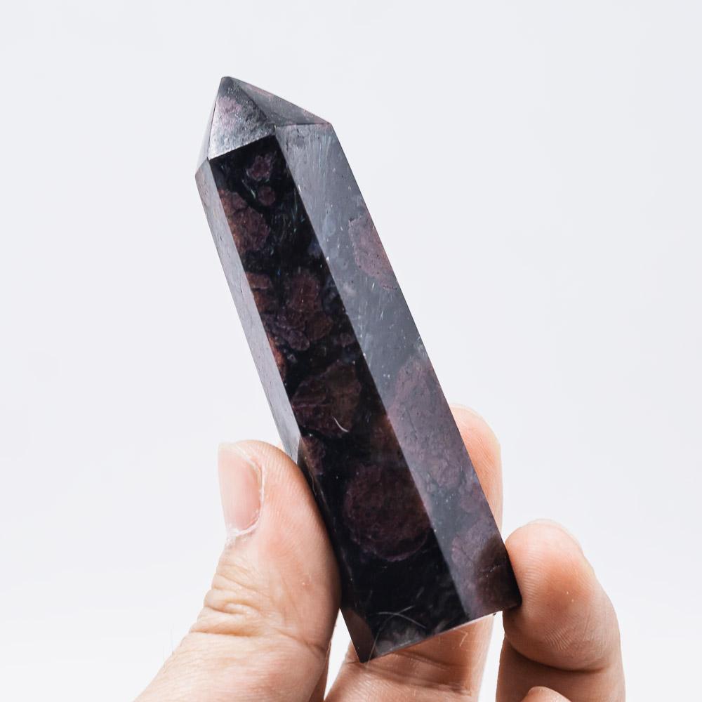 Reikistal Astrophyllite With Garnet Point