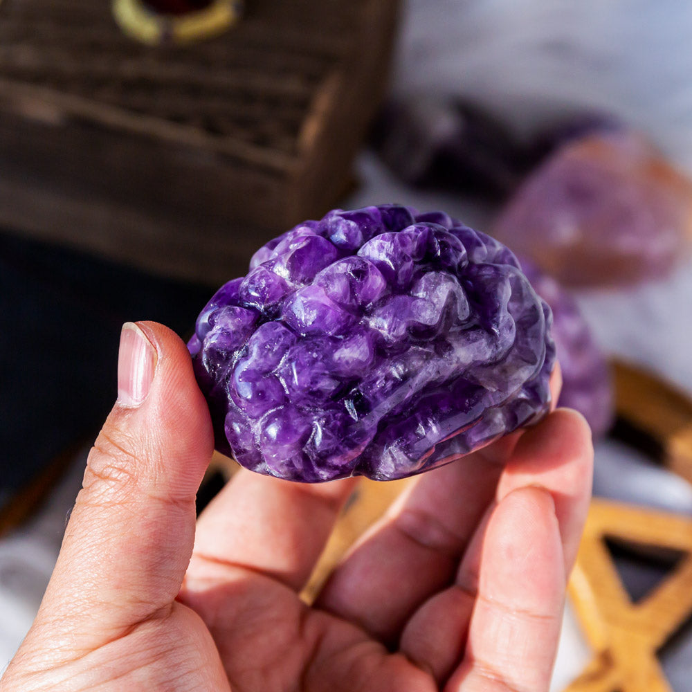 Reikistal Dream Amethyst Human Brain