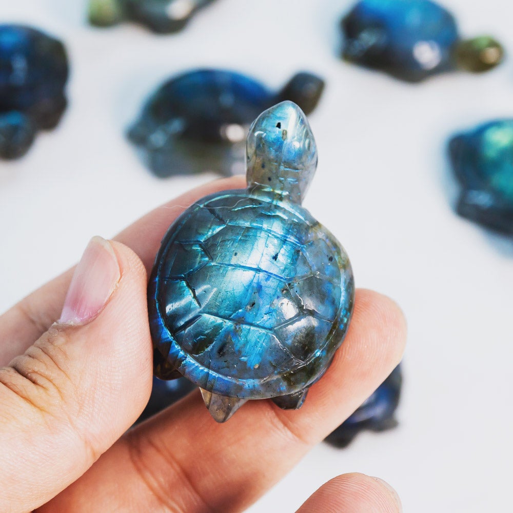 Reikistal Labradorite Turtle