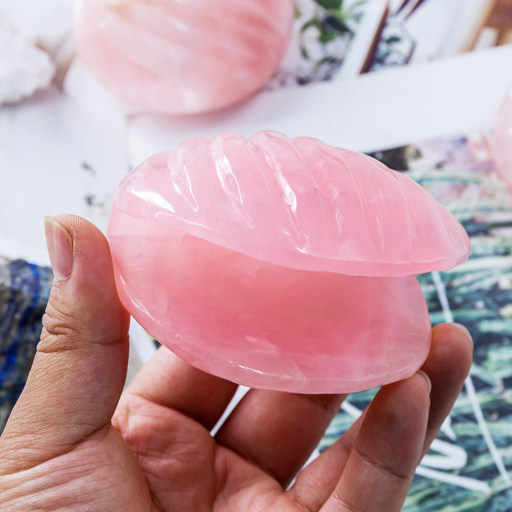 Reikistal Rose Quartz Conch