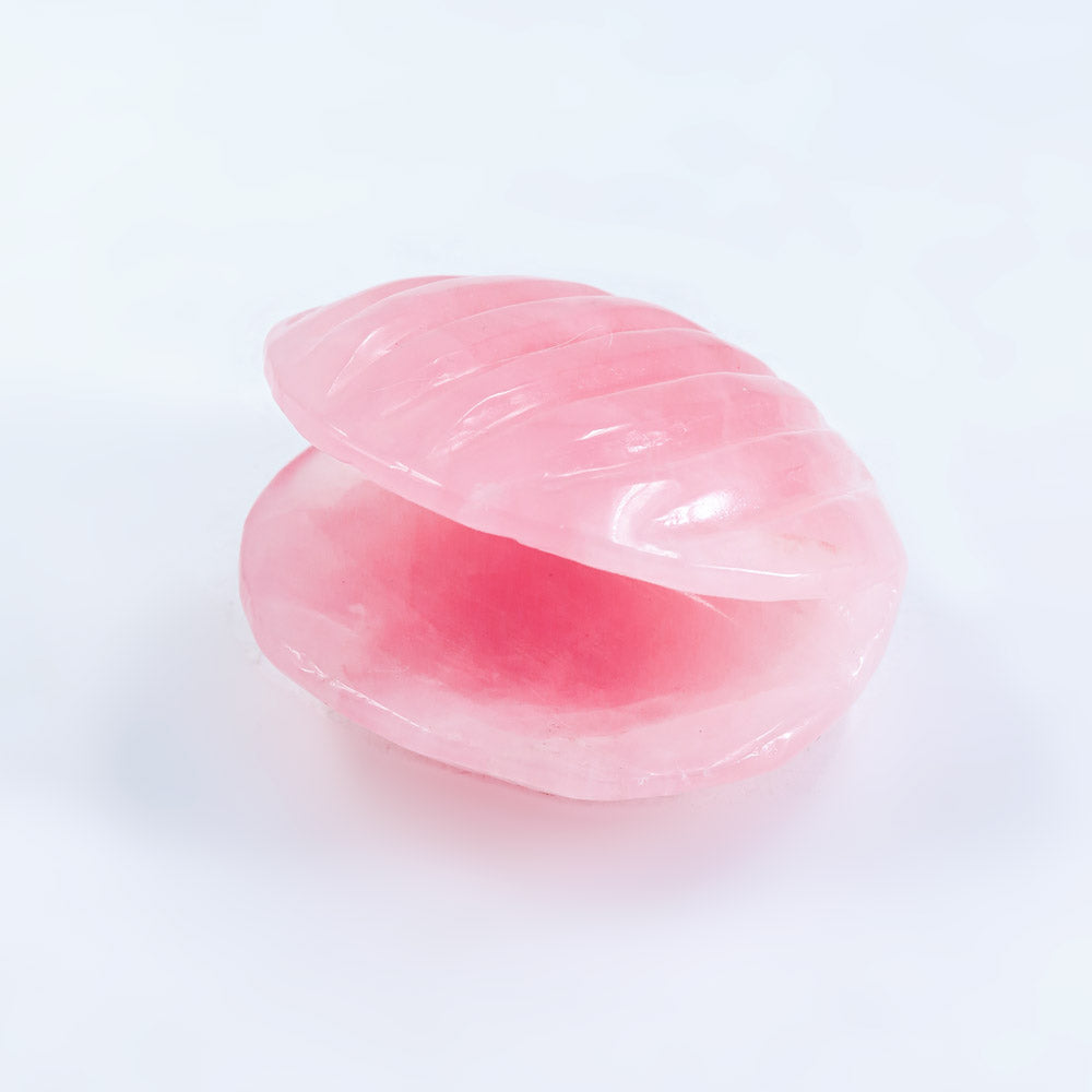 Reikistal Rose Quartz Conch