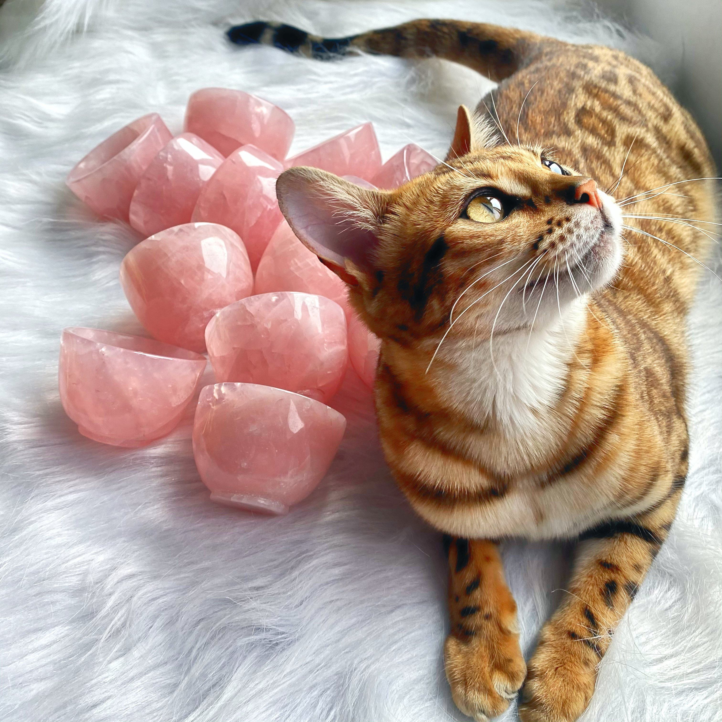 Reikistal Clear Quartz & Rose Quartz Small Cup