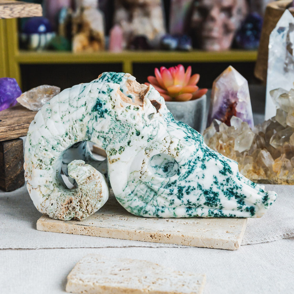 Reikistal Tree Agate Sheep Head