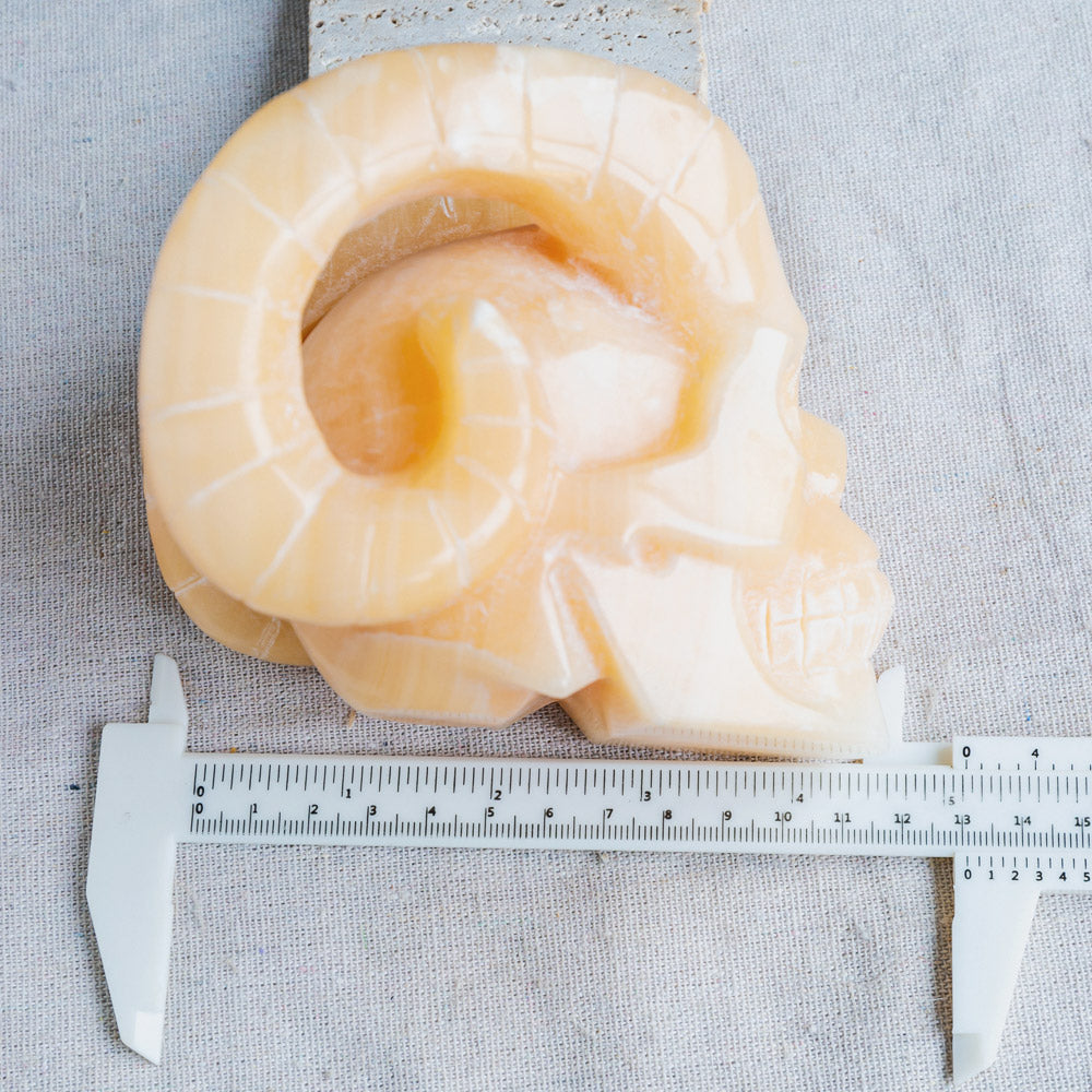 Reikistal Orange Calcite Sheep Skull