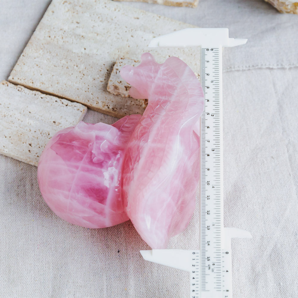 Reikistal Rose Quartz Skull With Snail