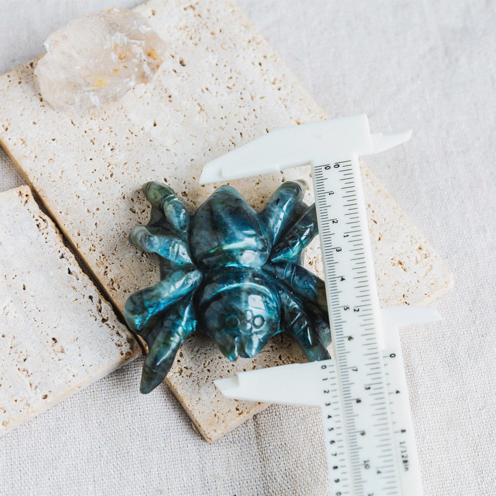 Reikistal Labradorite Spider