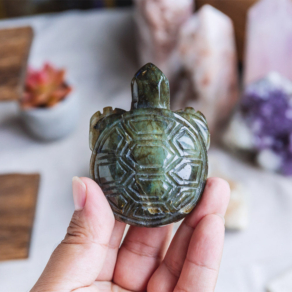 Reikistal Labradorite Tortoise