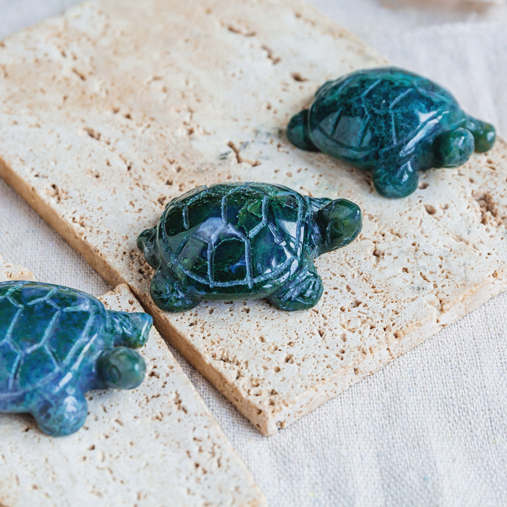 Reikistal Moss Agate Tortoise