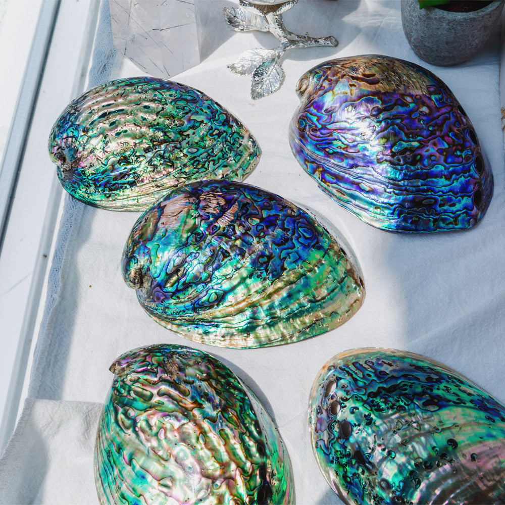 Reikistal Colorful Abalone Shell