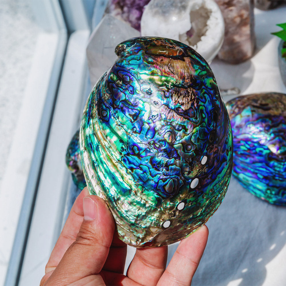 Reikistal Colorful Abalone Shell