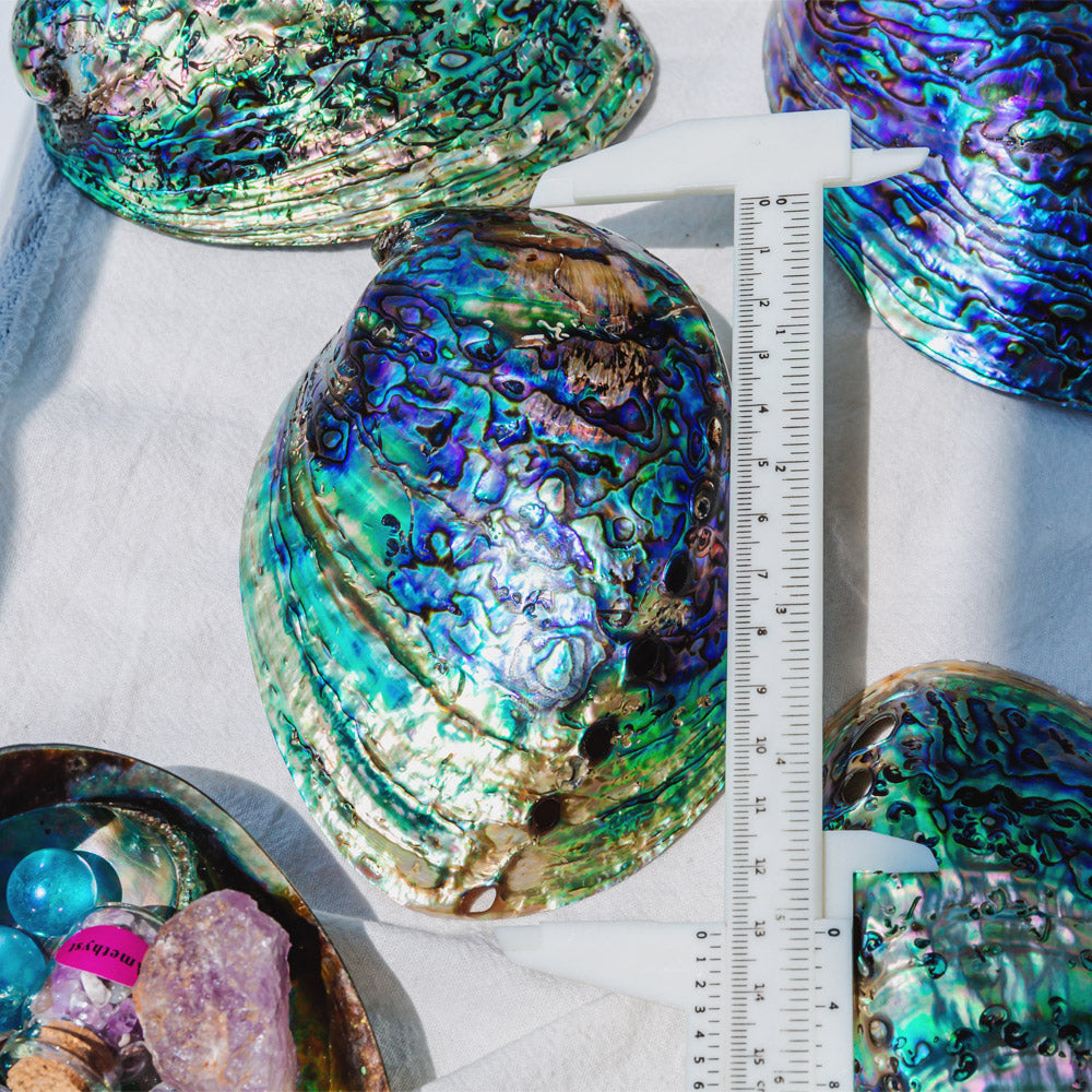 Reikistal Colorful Abalone Shell