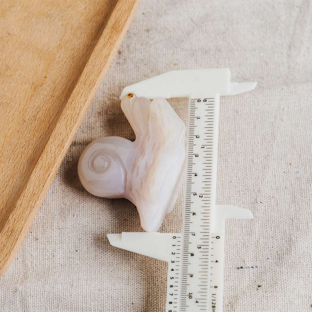 Reikistal 2.5'' Flower Agate Snail