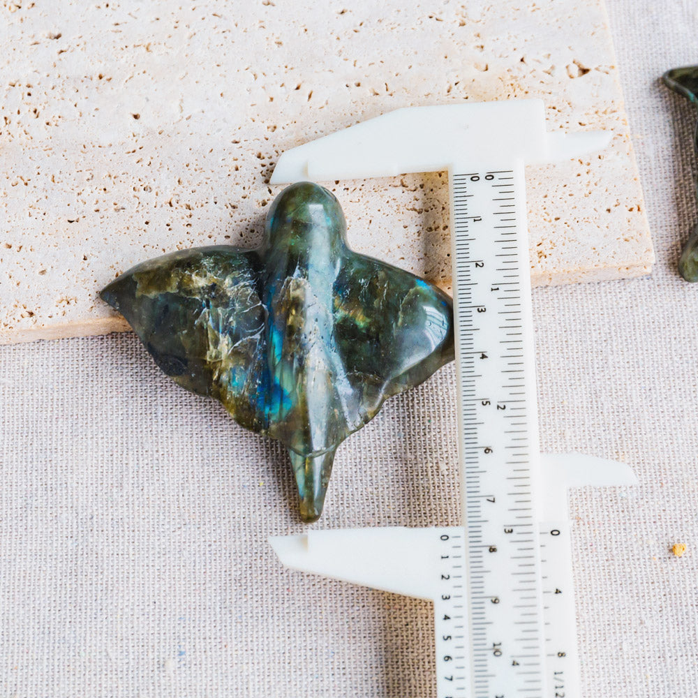 Reikistal Labradorite Devil Fish