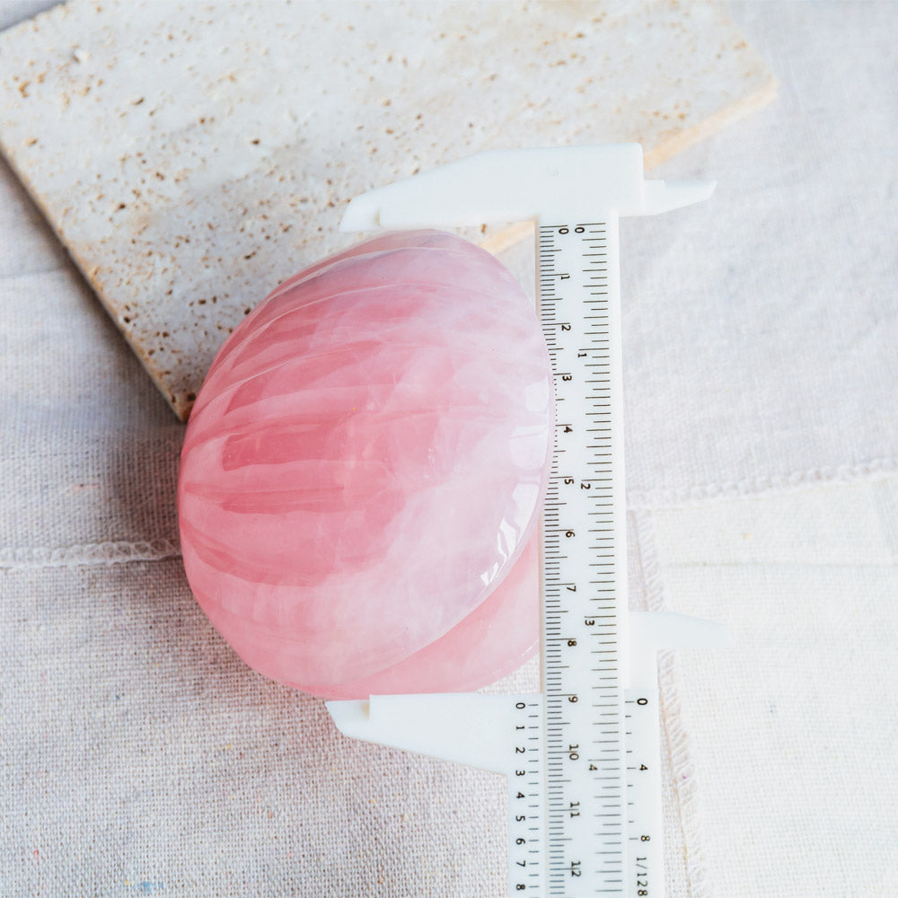 Reikistal Rose Quartz Shell