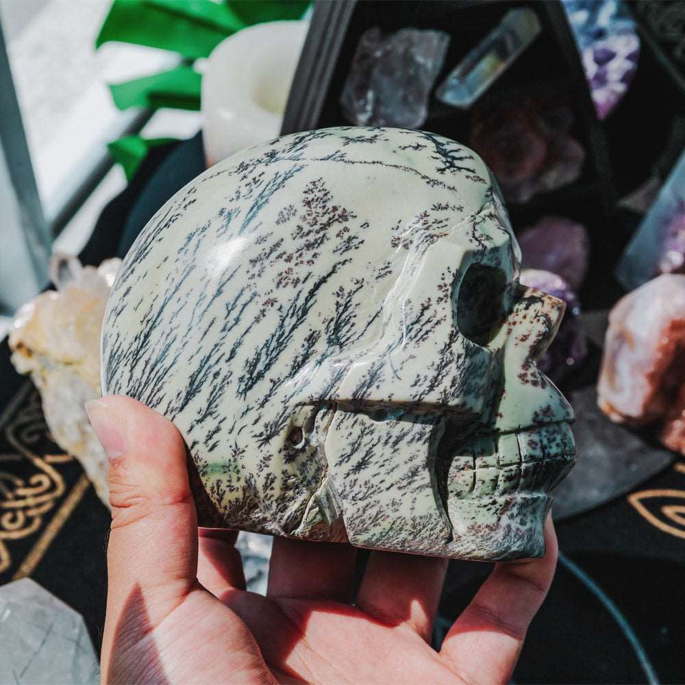 Reikistal 5'' Dendritic Opal Skull