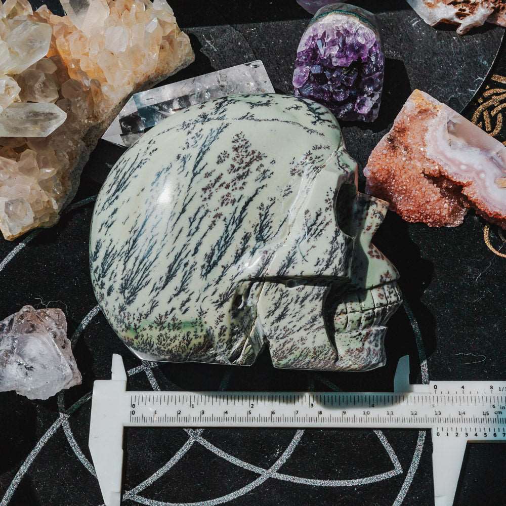 Reikistal 5'' Dendritic Opal Skull