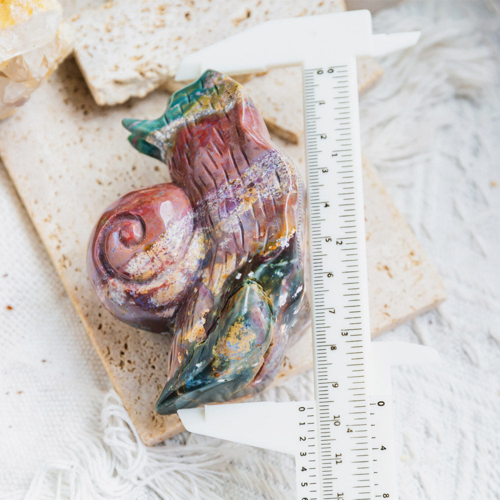 Reikistal Ocean Jasper Snail