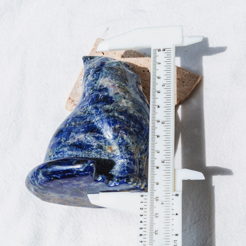 Reikistal Sodalite Cat