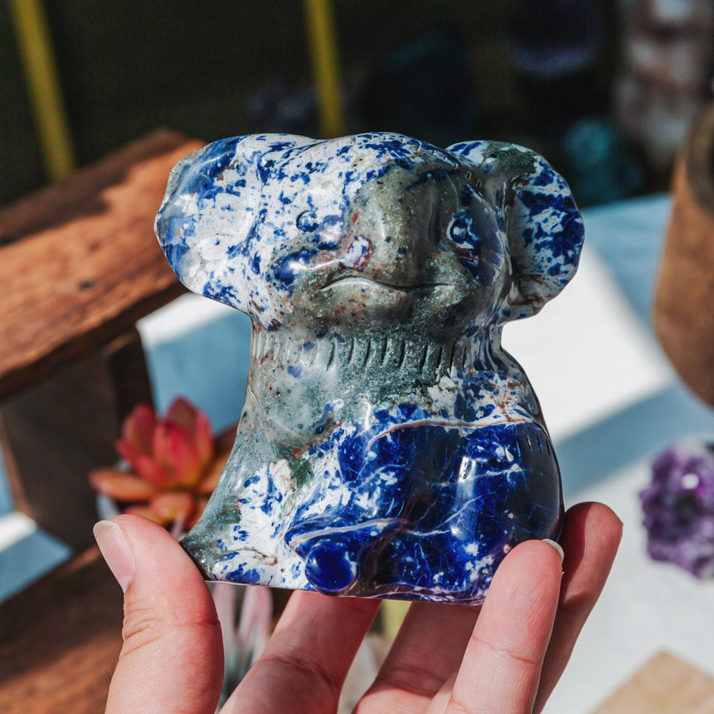 Reikistal Sodalite Koala