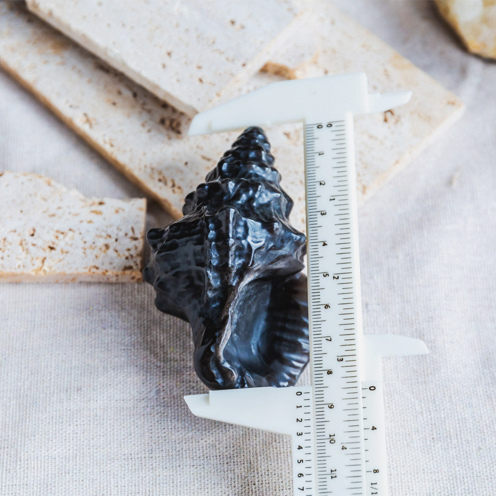 Reikistal Silver Sheen Obsidian Conch