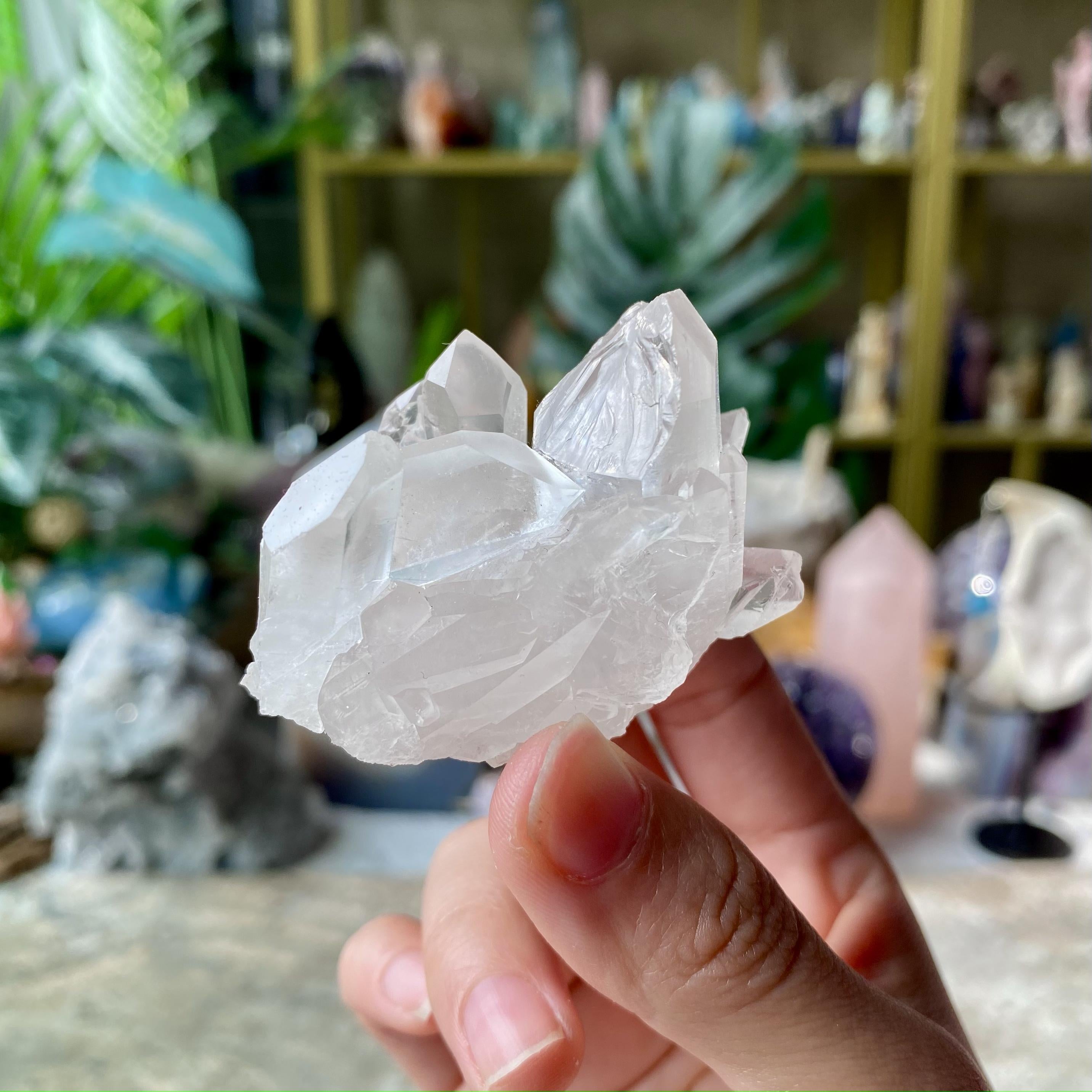 【Weekly Flash Deals】Clear Quartz Cluster 3