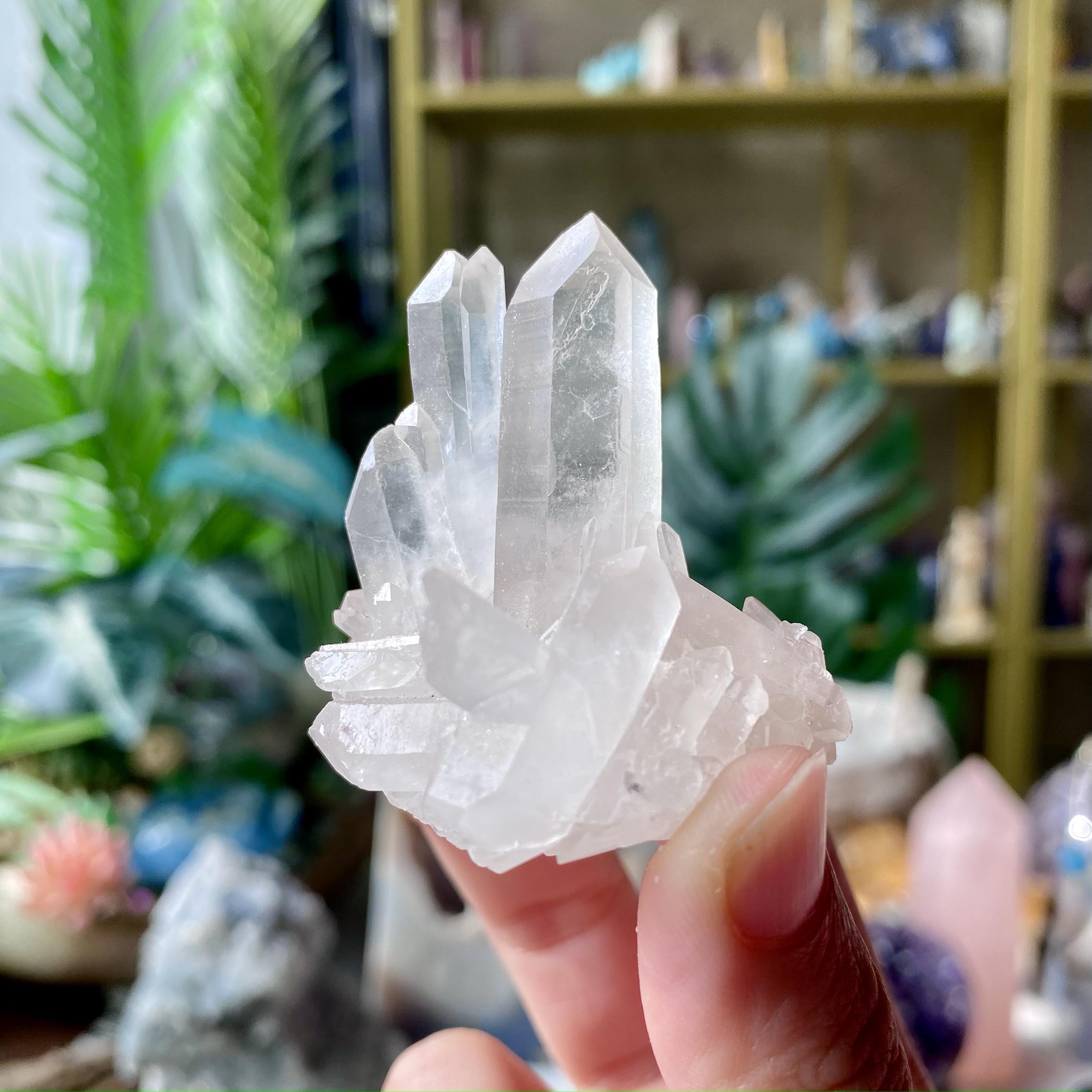 【Weekly Flash Deals】Clear Quartz Cluster 3