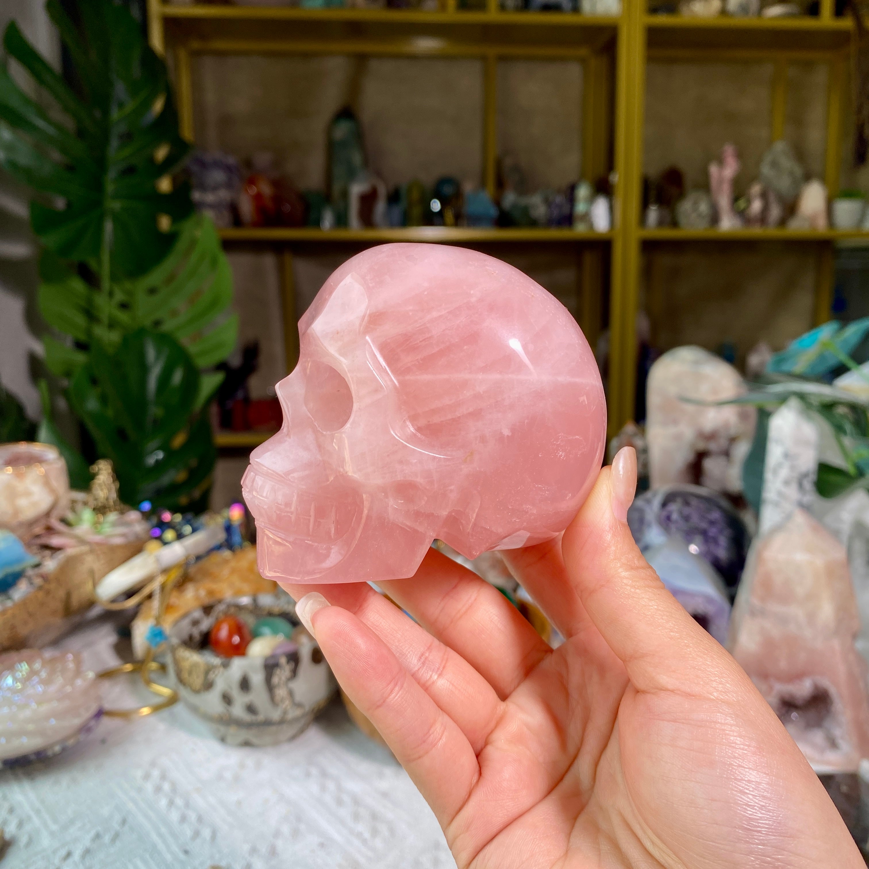 【Weekly Flash Deals】Carving 5