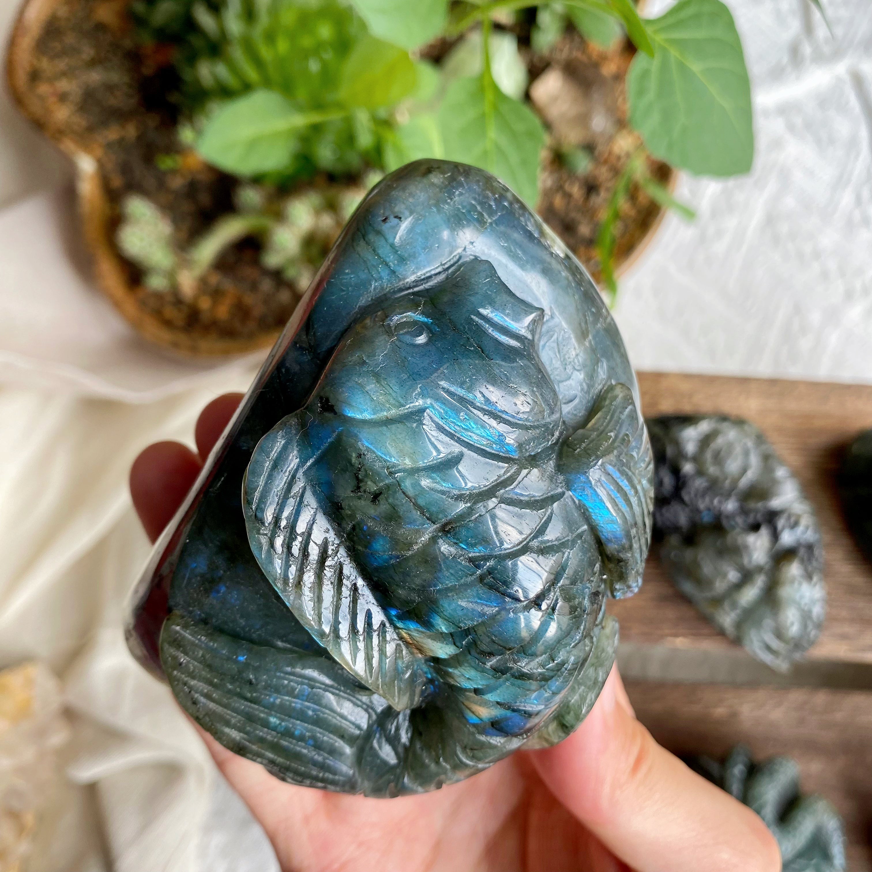 【Weekly Flash Deals】Labradorite Carving