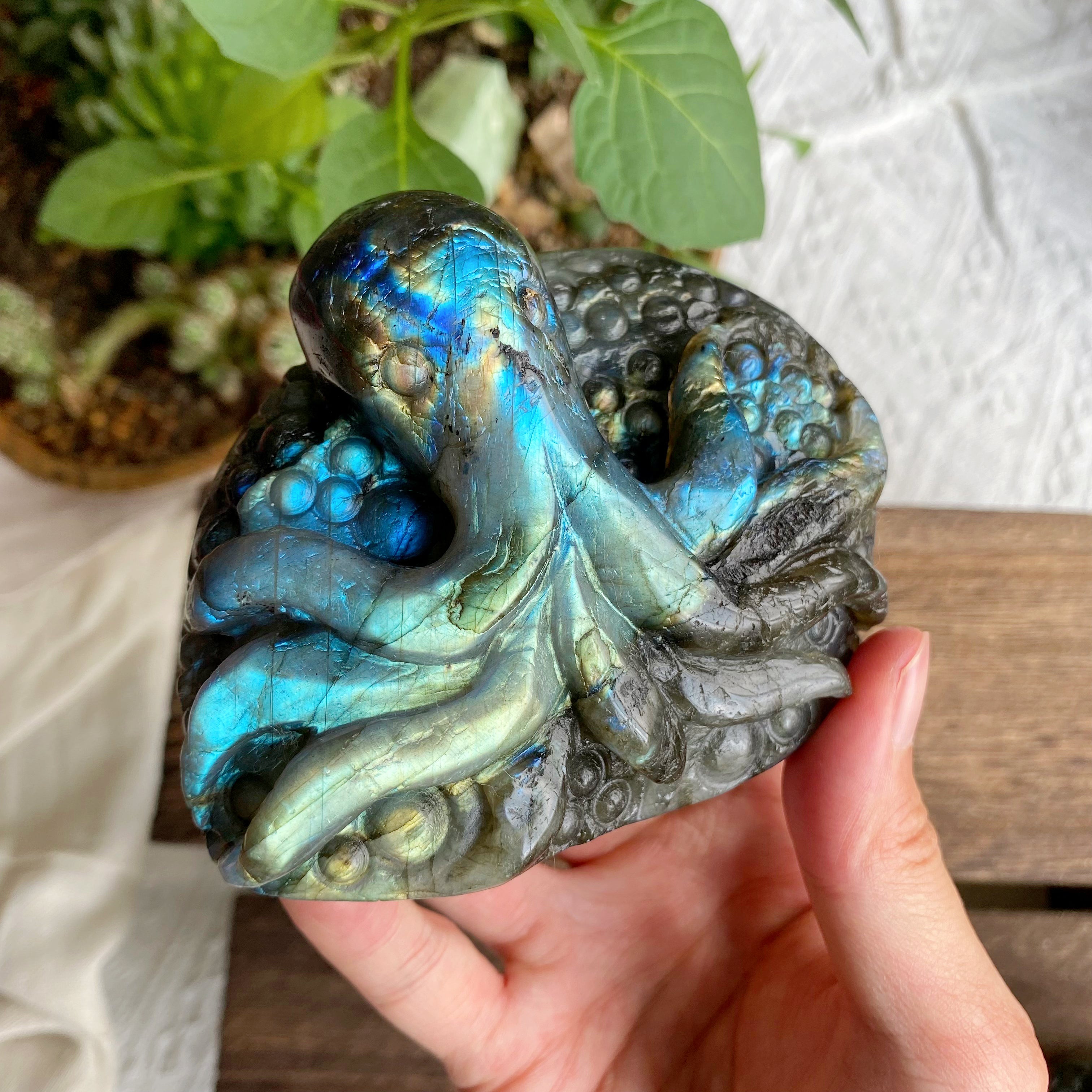 【Weekly Flash Deals】Labradorite Carving