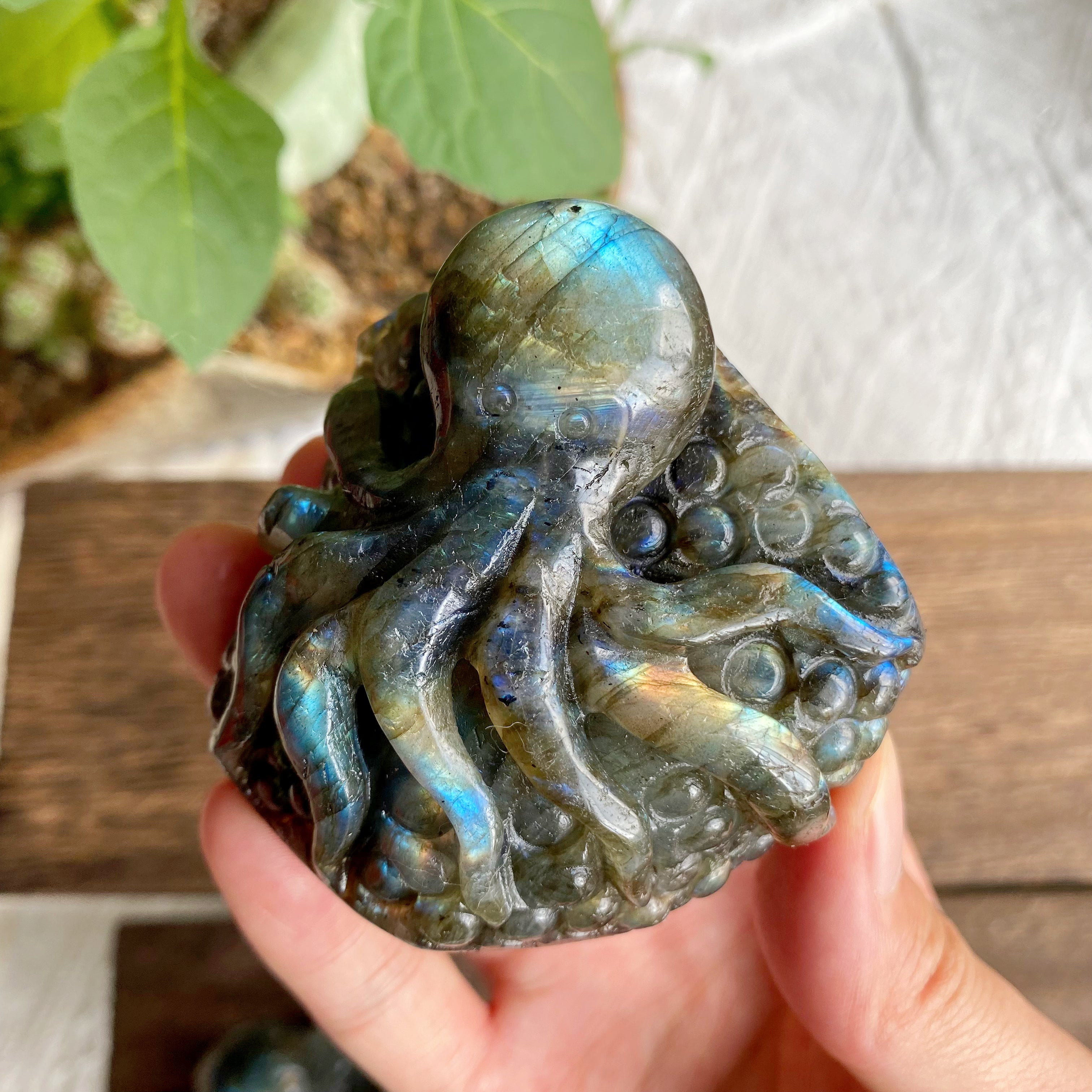 【Weekly Flash Deals】Labradorite Carving