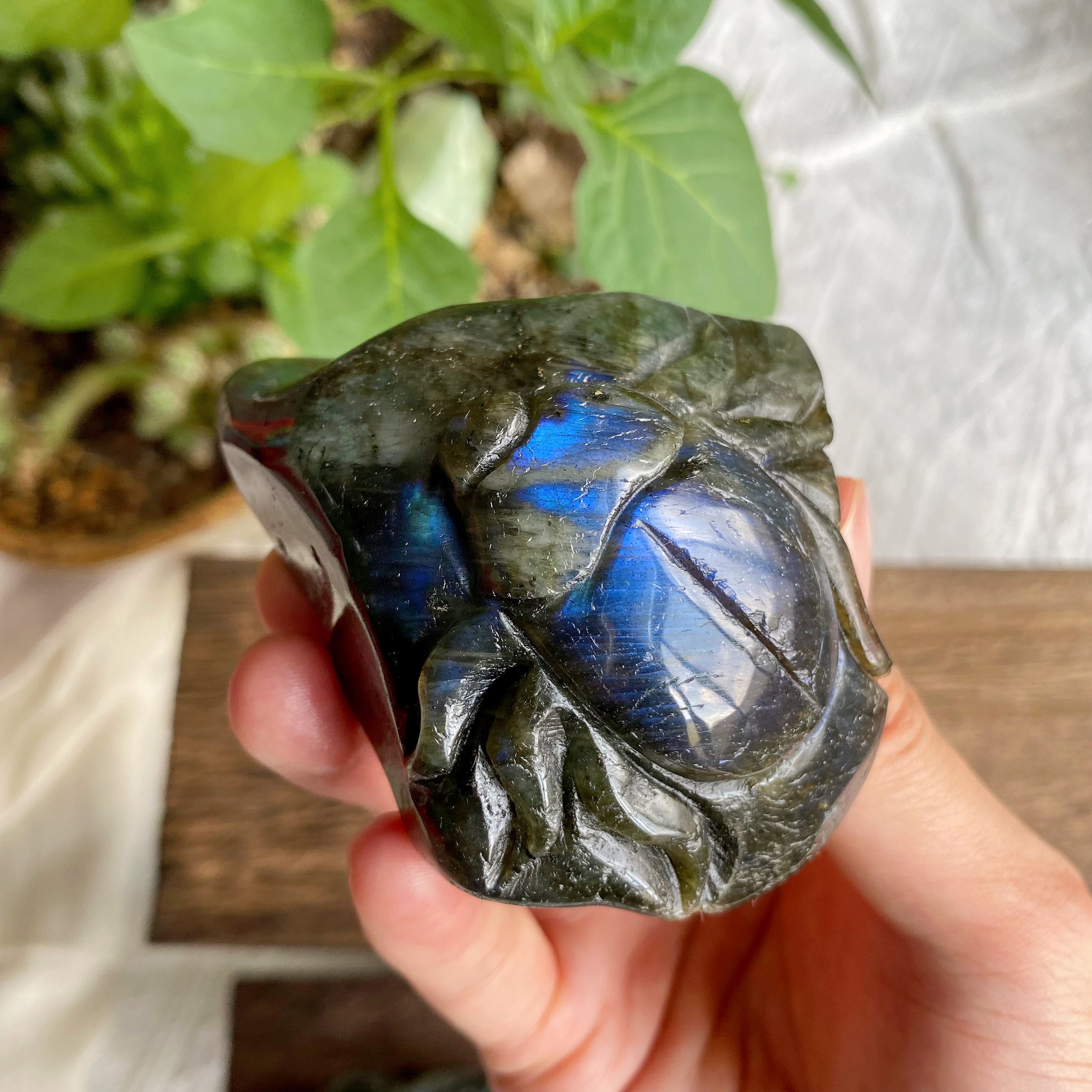 【Weekly Flash Deals】Labradorite Carving