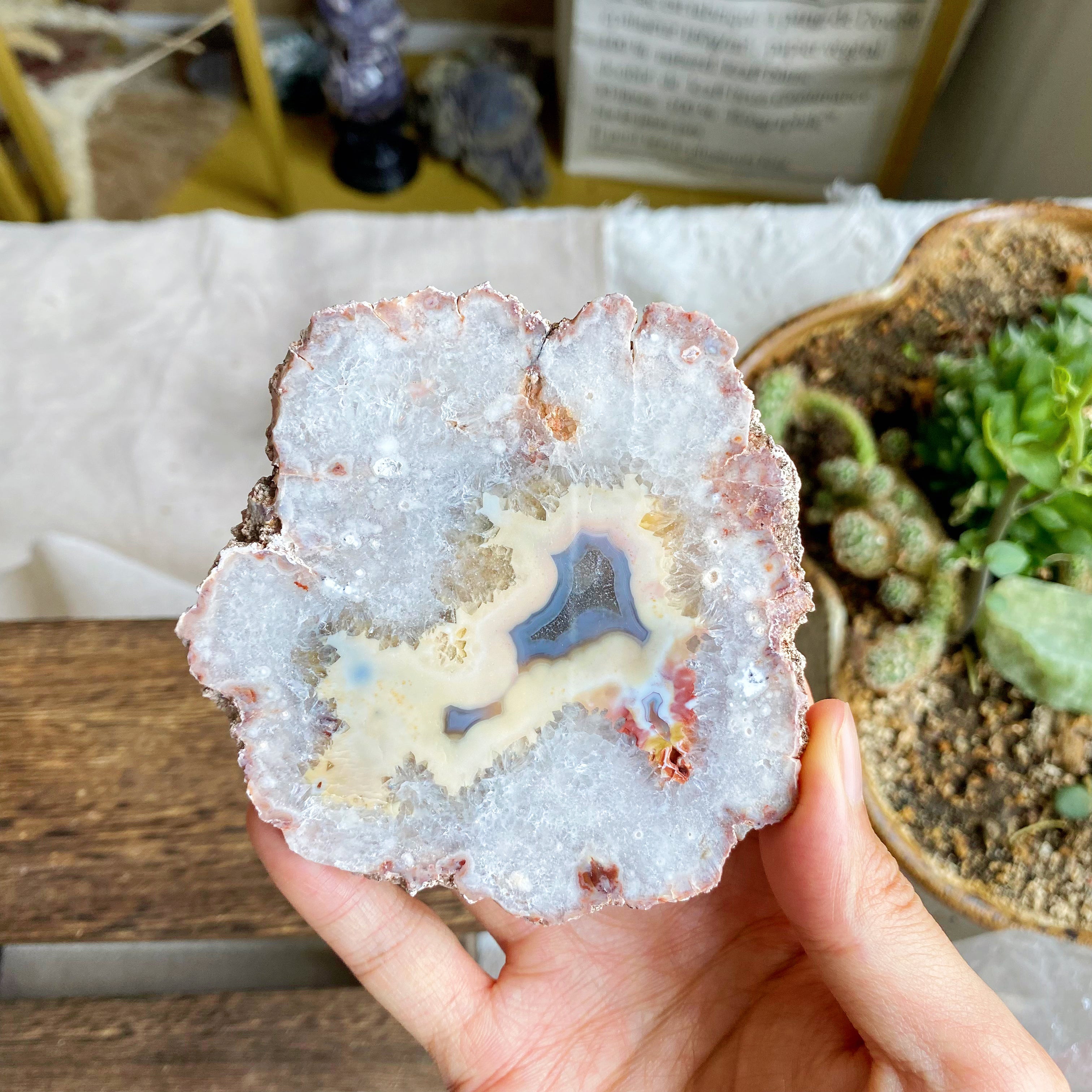 【Weekly Flash Deals】Argentina Flower Agate  Slice 1