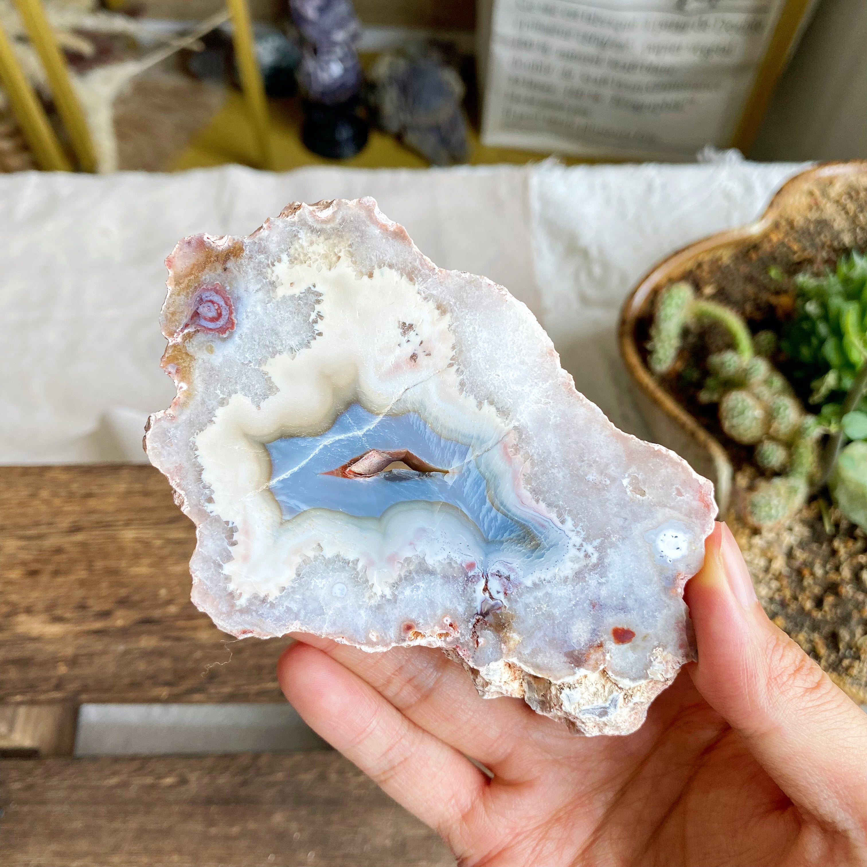 【Weekly Flash Deals】Argentina Flower Agate  Slice 1