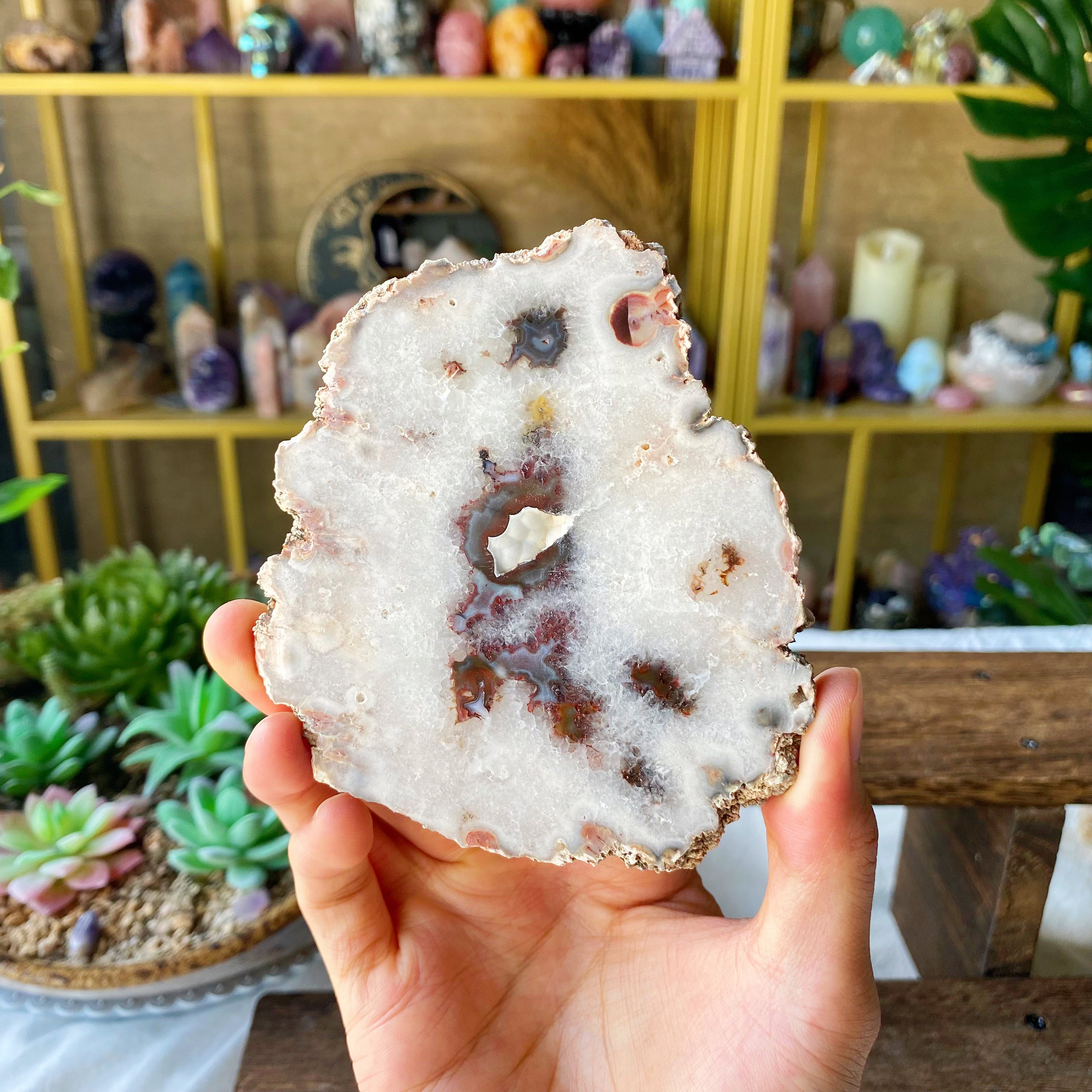 【Weekly Flash Deals】Argentina Flower Agate  Slice 2