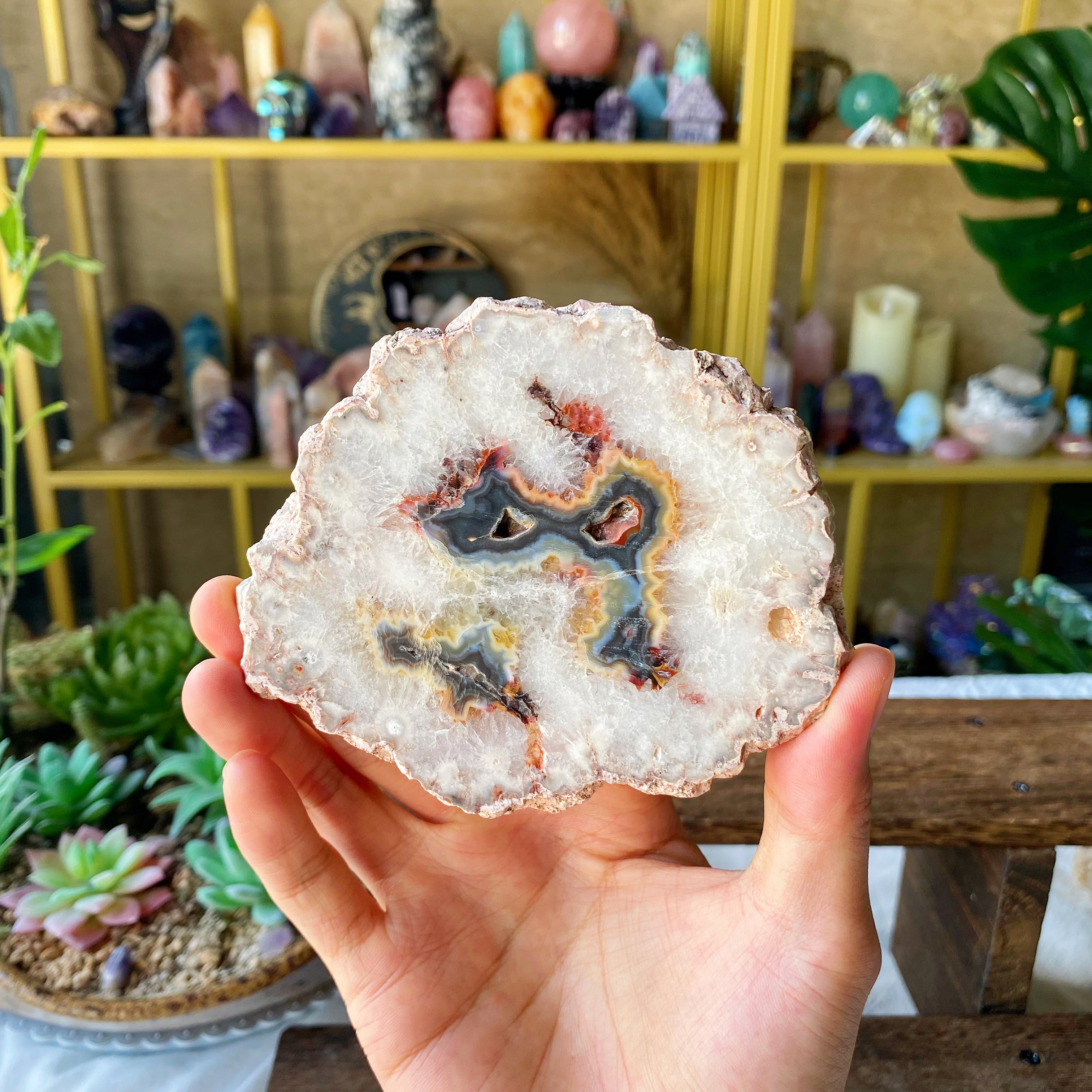 【Weekly Flash Deals】Argentina Flower Agate  Slice 2