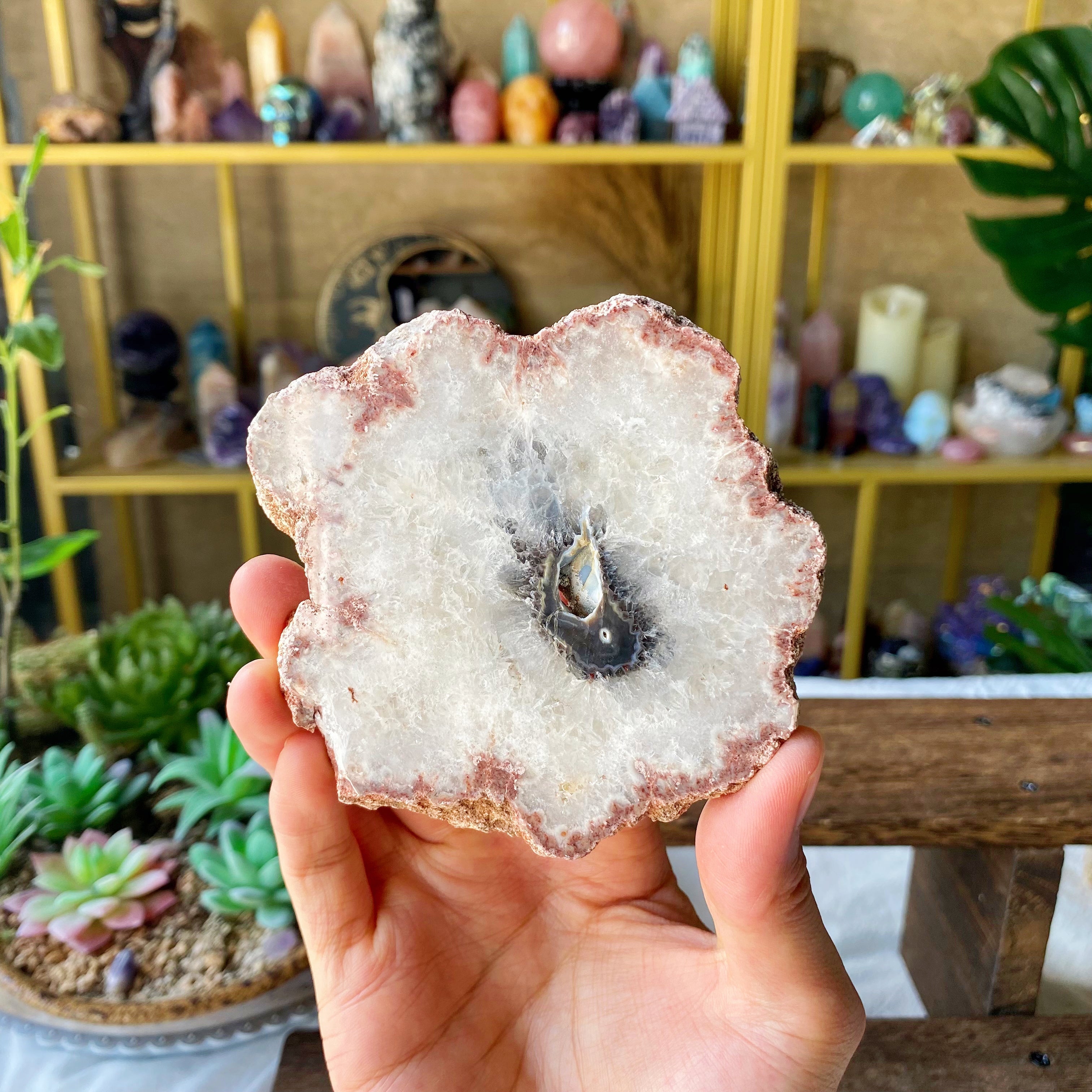 【Weekly Flash Deals】Argentina Flower Agate  Slice 2