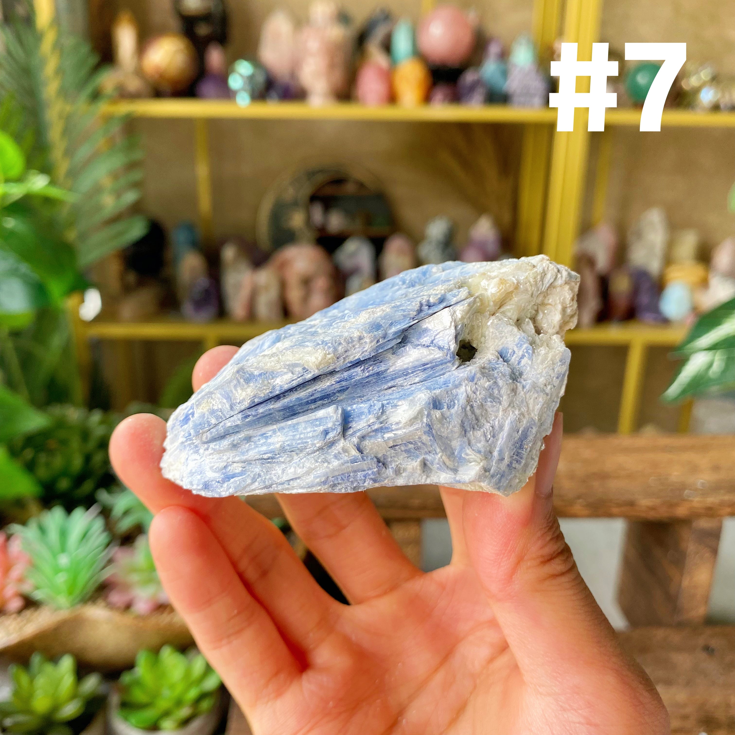 【Weekly Flash Deals】Kyanite Specimen