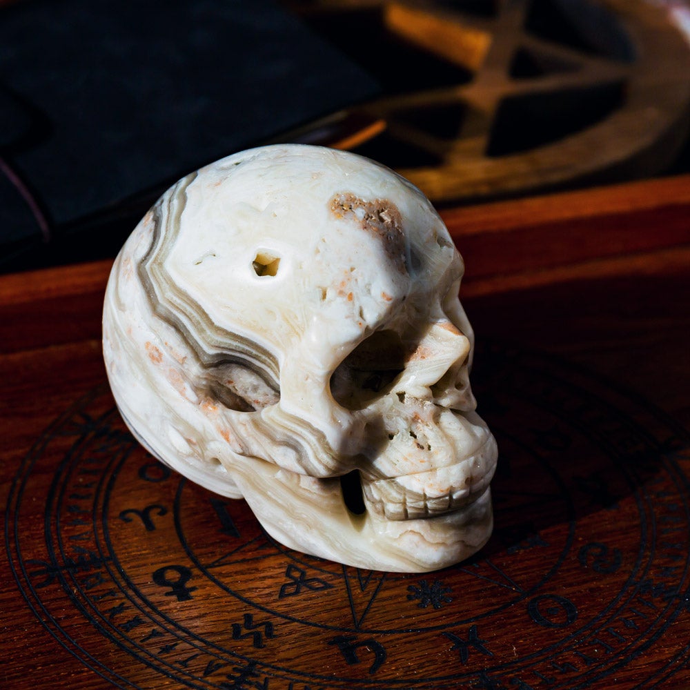 Reikistal Zebra Calcite Skull