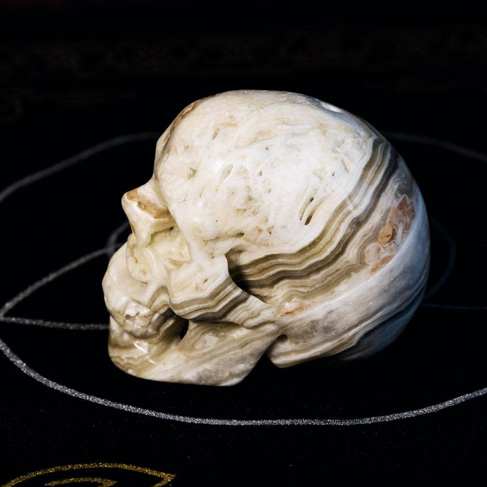 Reikistal Zebra Calcite Skull