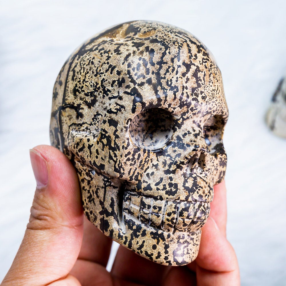 Reikistal Dendeitic Jasper Skull