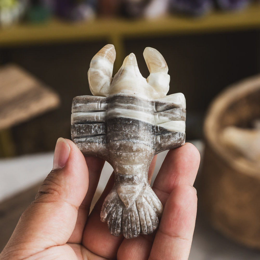 Reikistal Zebra Calcite Lobster