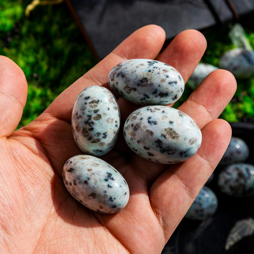 Reikistal Kiwi Jasper Tumbled Stone